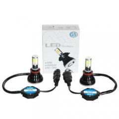 H11 Light Bulbs