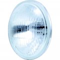 Replacement Clear - Fog Light Bulb 12V | Headlight Bulbs