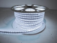 110V Atmosphere Waterproof 5050 LED Strip Lighting Cool White Race Sport Lighting