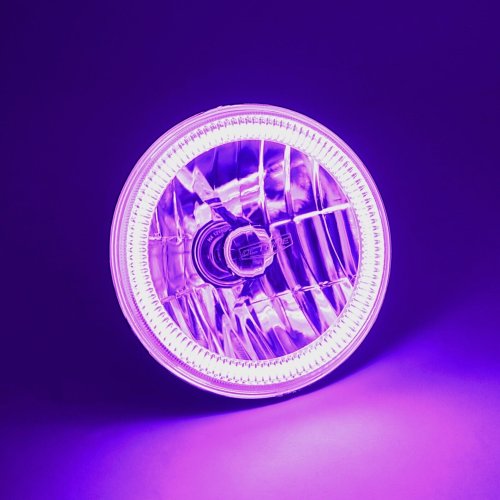 7" Motorcycle Purple COB Halo 6K 6000K Light Bulbs LED Headlight: Harley