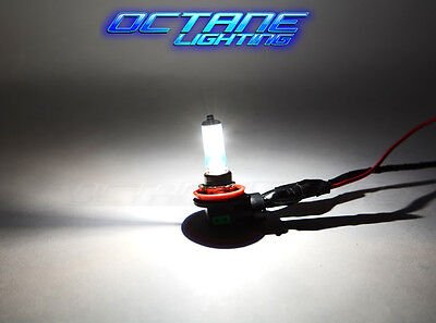 9005 Xenon 6k 6000k Super White Halogen 65W 12V Headlight / Fog Lamp Light Bulb