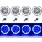 5-3/4" Blue LED COB SMD Halo Angel Eye Halogen Light Bulbs Metal Headlights Set