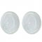 1942-1947 Ford Pickup Truck / 47-48 Car Clear Park Light Lamp Plastic Lens Pair